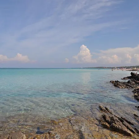 Spinnaker Holidays Αλγκέρο